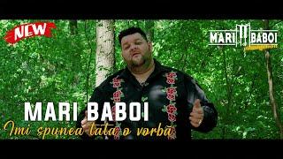 MARI BABOI - IMI SPUNEA TATA O VORBA (OFICIAL VIDEO 2023)