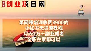 某网赚培训收费3900的小红书无货源教程，月入2万＋副业或者全职在家都可以 ev