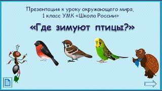 Где зимуют птицы? Окружающий мир 1 класс УМК Школа России 03.02.2023