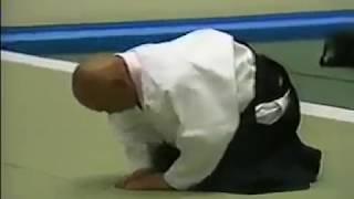 Nobuyuki Watanabe aikido master 8dan