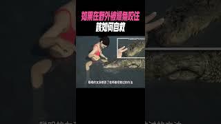 如果在野外被鱷魚咬住，該如何自救? #科普