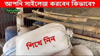 কিসে সাইলেজ করলে বেশি ভাল হয়? বস্তা-ড্রাম না বাঙ্কার | RBC agro | silage making | Bayezid Moral