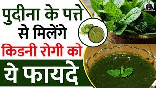 किडनी रोगी को पुदीना से मिलने वाले फायदे - Mint benefits for kidney Patients | Dr Puneet Dhawan 2021