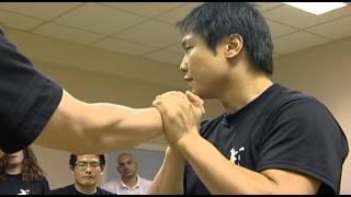 Wing Chun Masterclass Leo Au Yeung