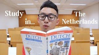 Why are so many people studying in The Netherlands?