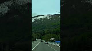 Гагра 13.04.2025#абхазия #гагра