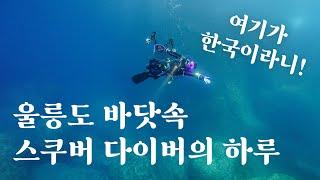 한국에서 제일 예쁜 바다에 스쿠버 다이빙을 하러 가면 이런 하루를 보내게 됩니다  울릉도 다이빙 브이로그 1탄 (죽도4번, 관음쌍굴) with 다이브플로우