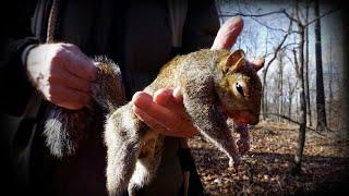 Squirrel Hunting with Dogs in Western Kentucky