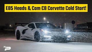 Paragon E85 Heads & Cam C8 Corvette Winter Cold Start!