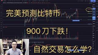 自然交易理论完美预测比特币900刀下跌！赛后回归第一天，数字货币后市怎么看？