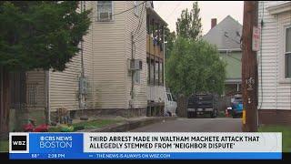 Third arrest made in Waltham machete attack