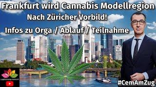 Frankfurt a.M. wird Cannabis Säule 2 Modellregion / Vorbild Züricher Modell / Infos zu Ablauf & Orga