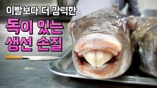 15년 경력 전문가에게 배우는 복어 손질(절대 따라하지 마세요!!)