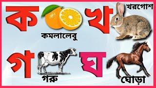 বাংলা ব্যঞ্জনবর্ণ ক খ গ ঘ | Bangla Banjonborno ka kha ga | Bengali Alphabet