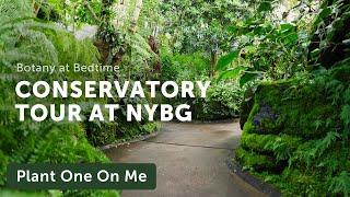 New York Botanical Garden CONSERVATORY Tour — Ep. 356