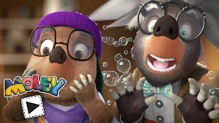  My Burrow Is Your Burrow | Moley | Family Fun Cartoons