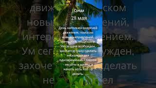 Прогноз на 28 мая #ведическаяастрология #джйотиш #астрология  #прогнознадень #прогноз #гороскоп