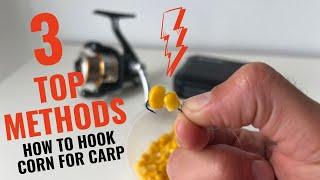 TOP METHODS HOW TO HOOK CORN FOR CARP FISHING.
