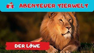 Abenteuer Tierwelt | der Löwe | Tiere lernen für Kinder und Kleinkinder