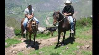 tellez. caballito mala cara.Elegantes Qorilazos