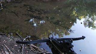 Daytime Bowfishing with a Mini Crossbow