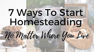 HOMESTEADING LIFESTYLE | Homesteading No Matter Where You Are