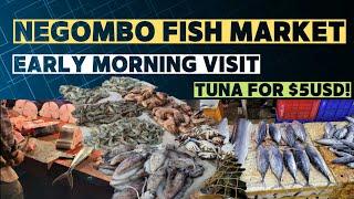 Negombo Fish Market - Early morning visit - Nov 2022 - TUNA for 5USD!