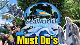 SeaWorld Orlando Must Do's to Have the Best Day