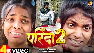 #Viral Giral | #Ranjita Kumari - परिंदा 2 | Ft. #Reyaj_Premi | Parinda 2 | #Chand Jee | Sad Video