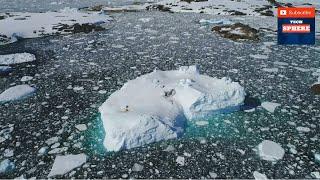 Southern Patagonia’s Glaciers: Protected for Now, but Warming Poses a Threat