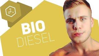 Was ist Biodiesel?!