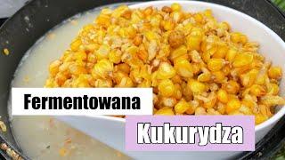 Fermentowana Kukurydza Na Karpie i Amury Jak Przygotować ?