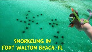 Snorkeling an Artificial Reef on Okaloosa Island Fort Walton Beach Florida. Things To Do on Vacation