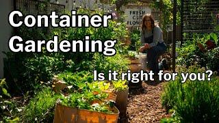 CONTAINER GARDENING PROS & CONS: Maximize Benefits + Understand Challenges