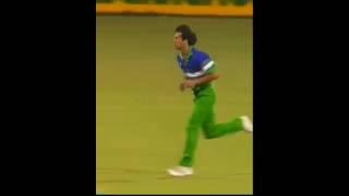 Imran Khan lifetime fast bowler #cricket #dall