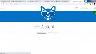 Как заработать на CatCut