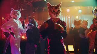 SLIDE™ Clumping Cat Litter from ARM & HAMMER™ TV Commercial- Dance :06