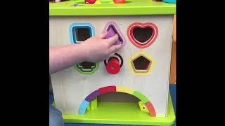 Country Critters Play Cube by Hape