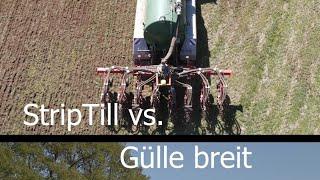 Versuchsauswertung StripTill vs. Gülle breit verteilen