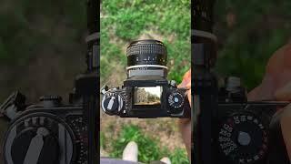 What the best 35mm camera sounds like.