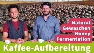 Nachernteprozess und Aufbereitung von Kaffee erklärt: Natural, Honey, Gewaschen und Fermentation