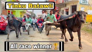 Jhota race || Tinku Batawli