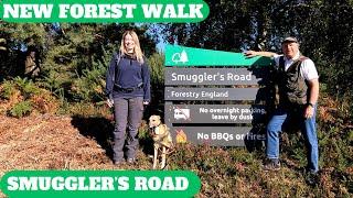 NEW FOREST WALK at SMUGGLER'S ROAD & BURLEY (WITH SPECIAL GUEST NIC of WALKING THE WYRD) (4K)