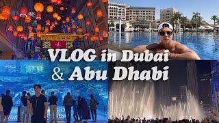 #두바이여행 & #아부다비여행 정보!! 알려드려요 l 닥터정의 #dubai #abudhabi #trip #vlog Ep.5