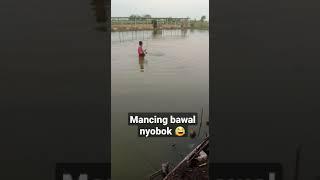 mancing bawal monter bosq