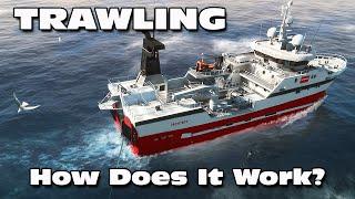 Fishing: North Atlantic - How to trawl for fish