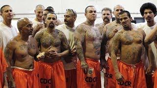 Top 10 Worst Prison Riots Around The World || Pastimers