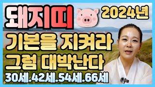 2024년 돼지띠 하반기운세/95년을해생/83년계해생/71년신해생/59년기해생/기본을 지켜라 그럼 대박난다