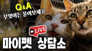 [제206화] 마이펫 라이브 상담소 . 고양이 Q n A