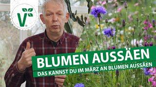 Blumen im März - Diese Blumen kannst Du aussäen